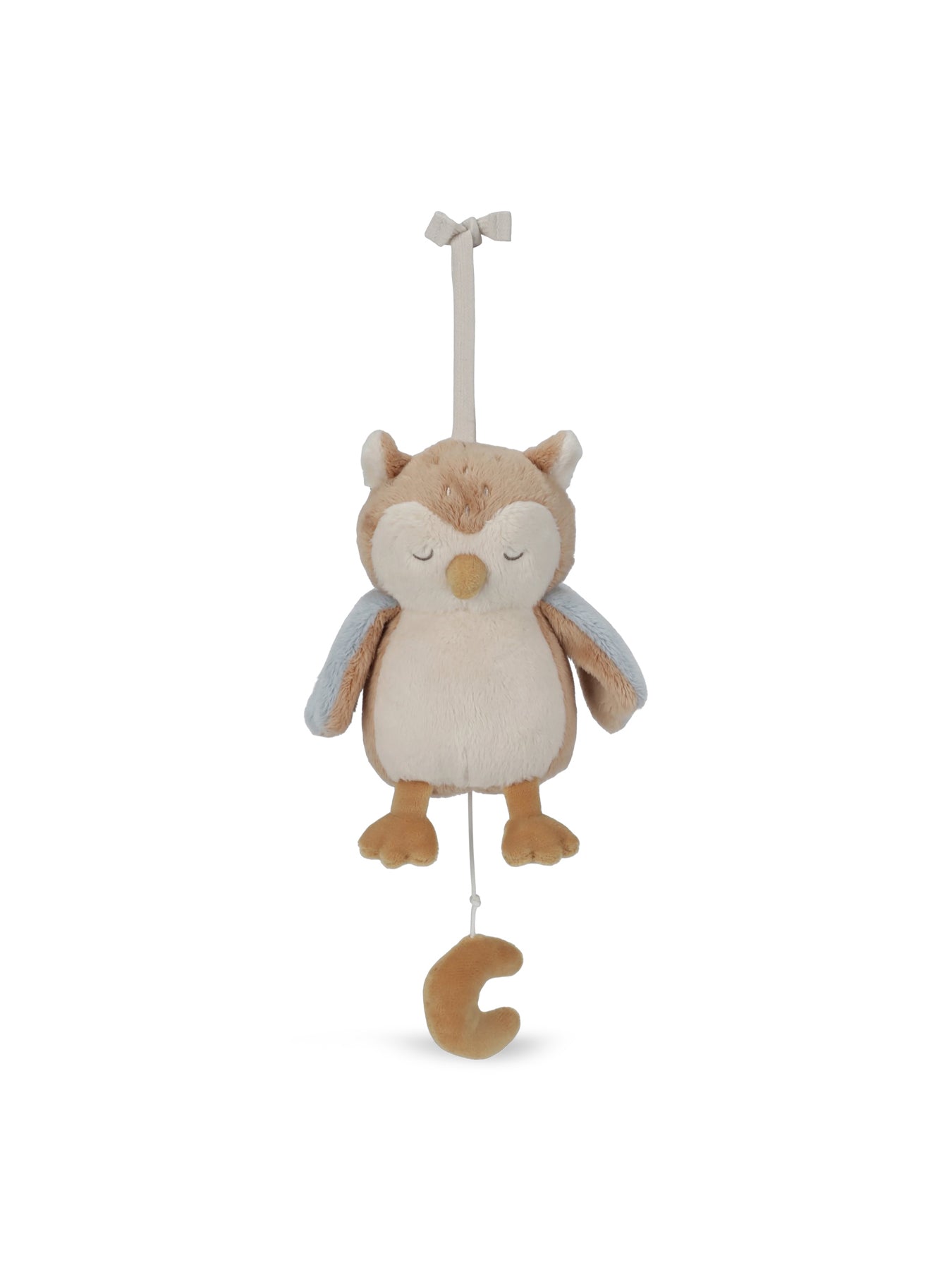 Forest Friends Owl Music Box Blue