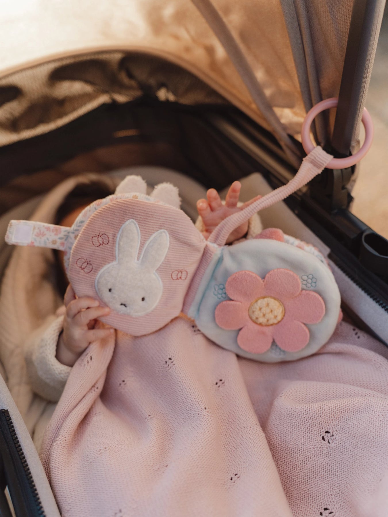 Stroller Booklet Pink