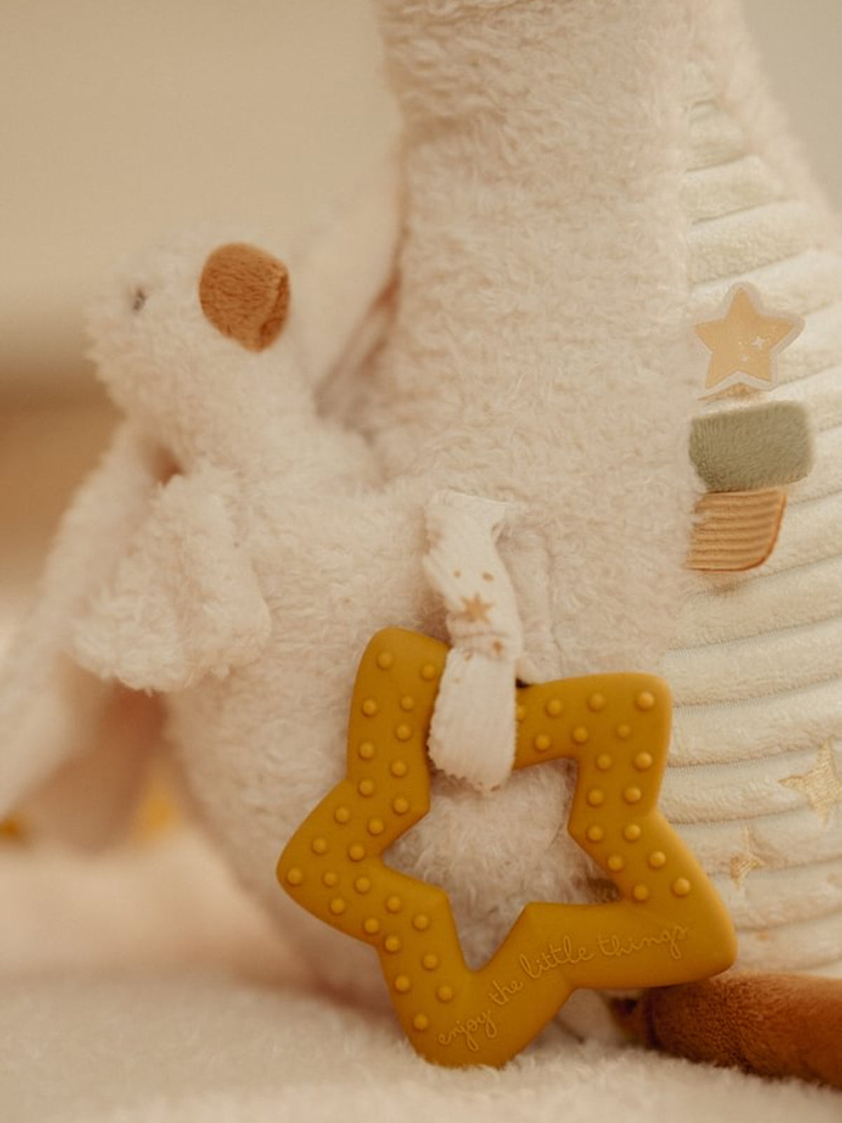 Activity Baby Goose Newborn Toy