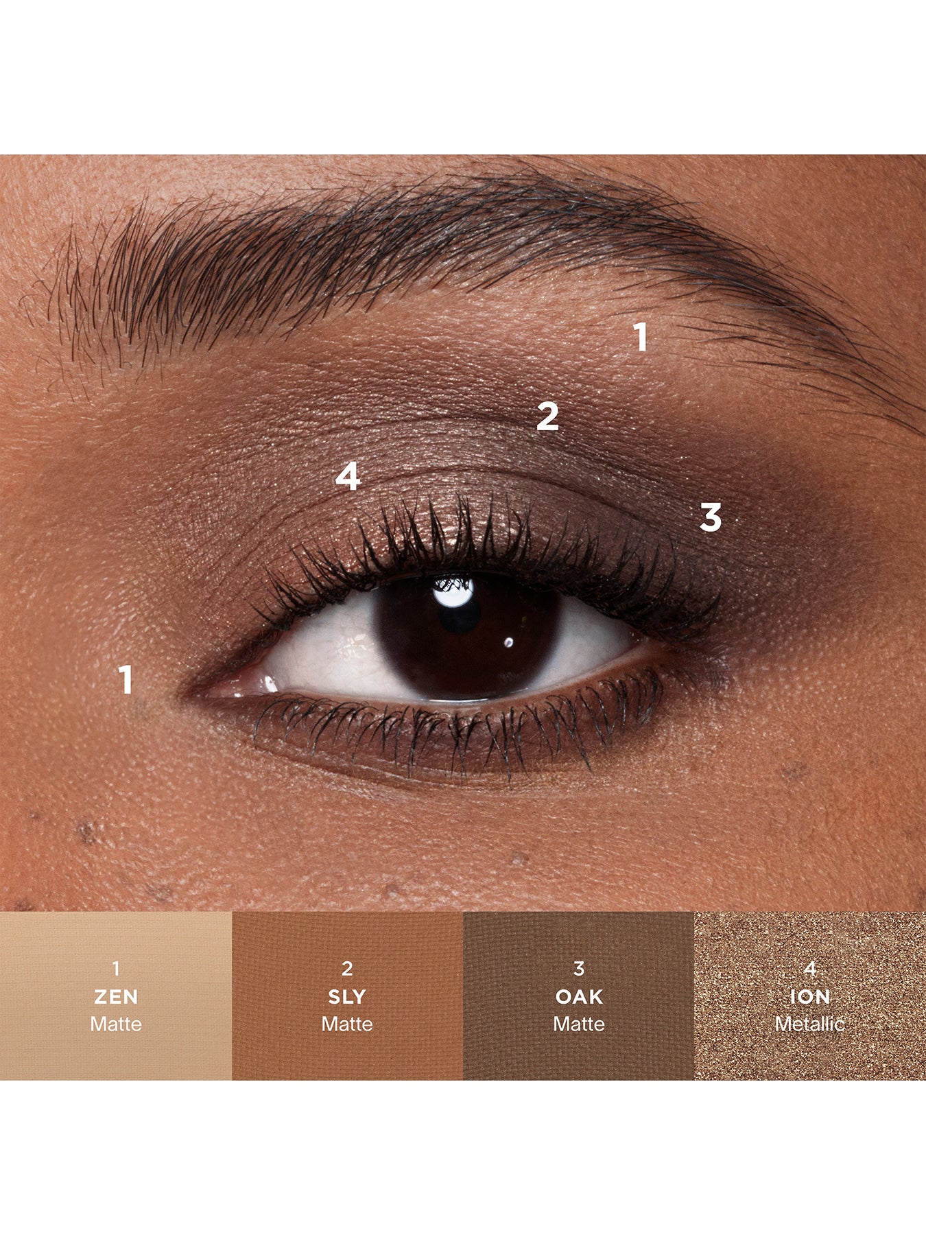 Curator Eyeshadow