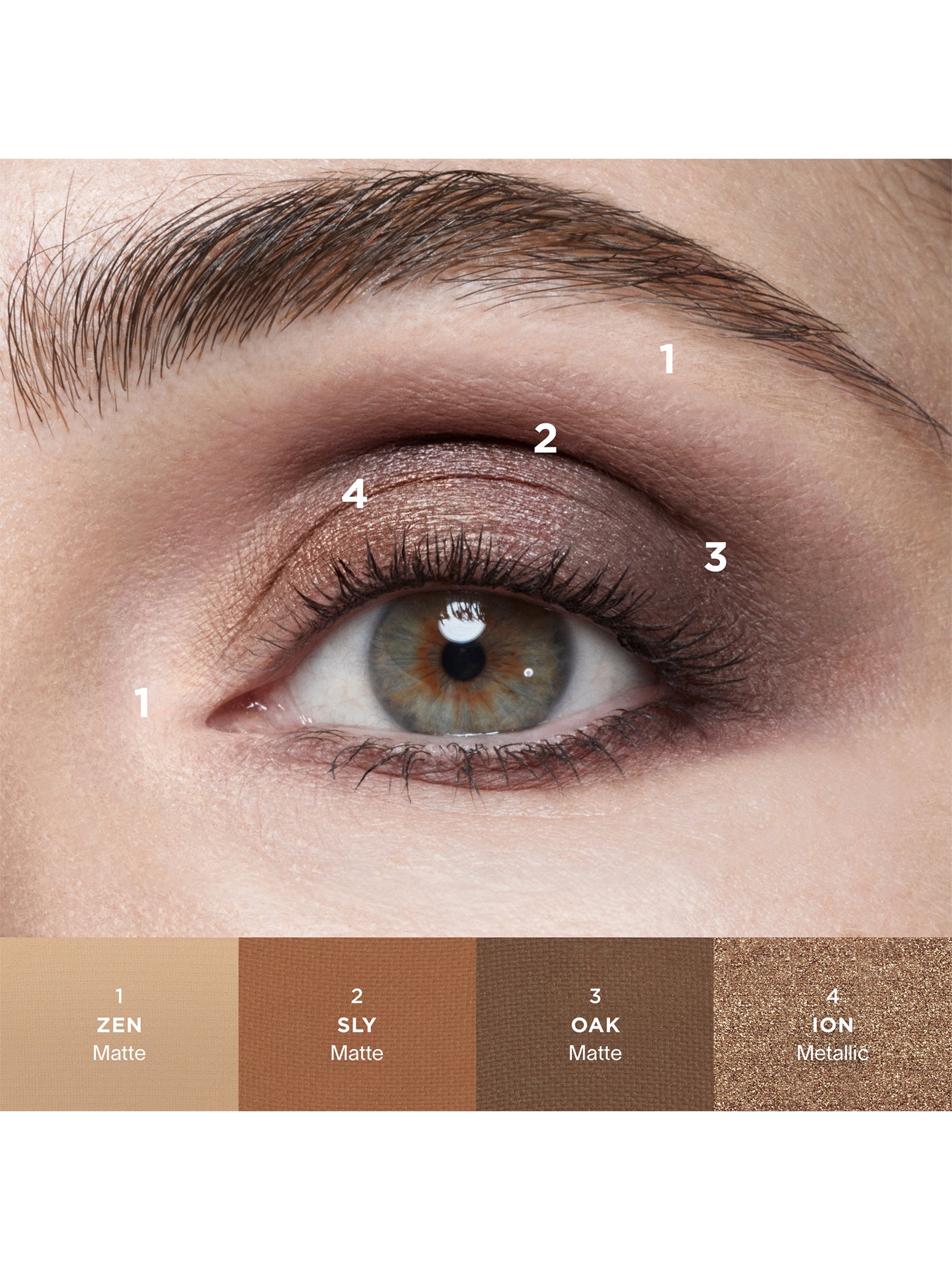 Curator Eyeshadow
