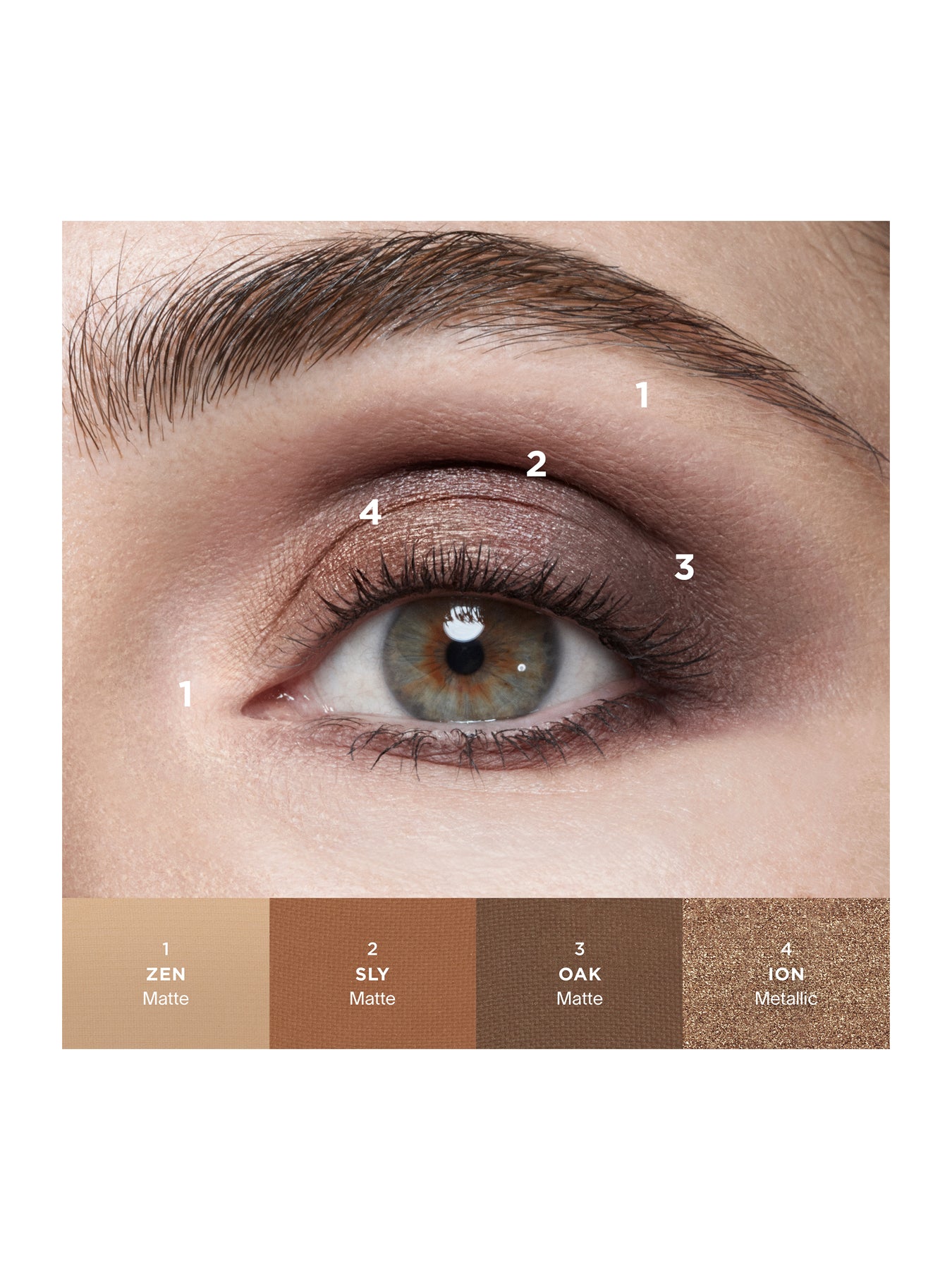Curator Eyeshadow