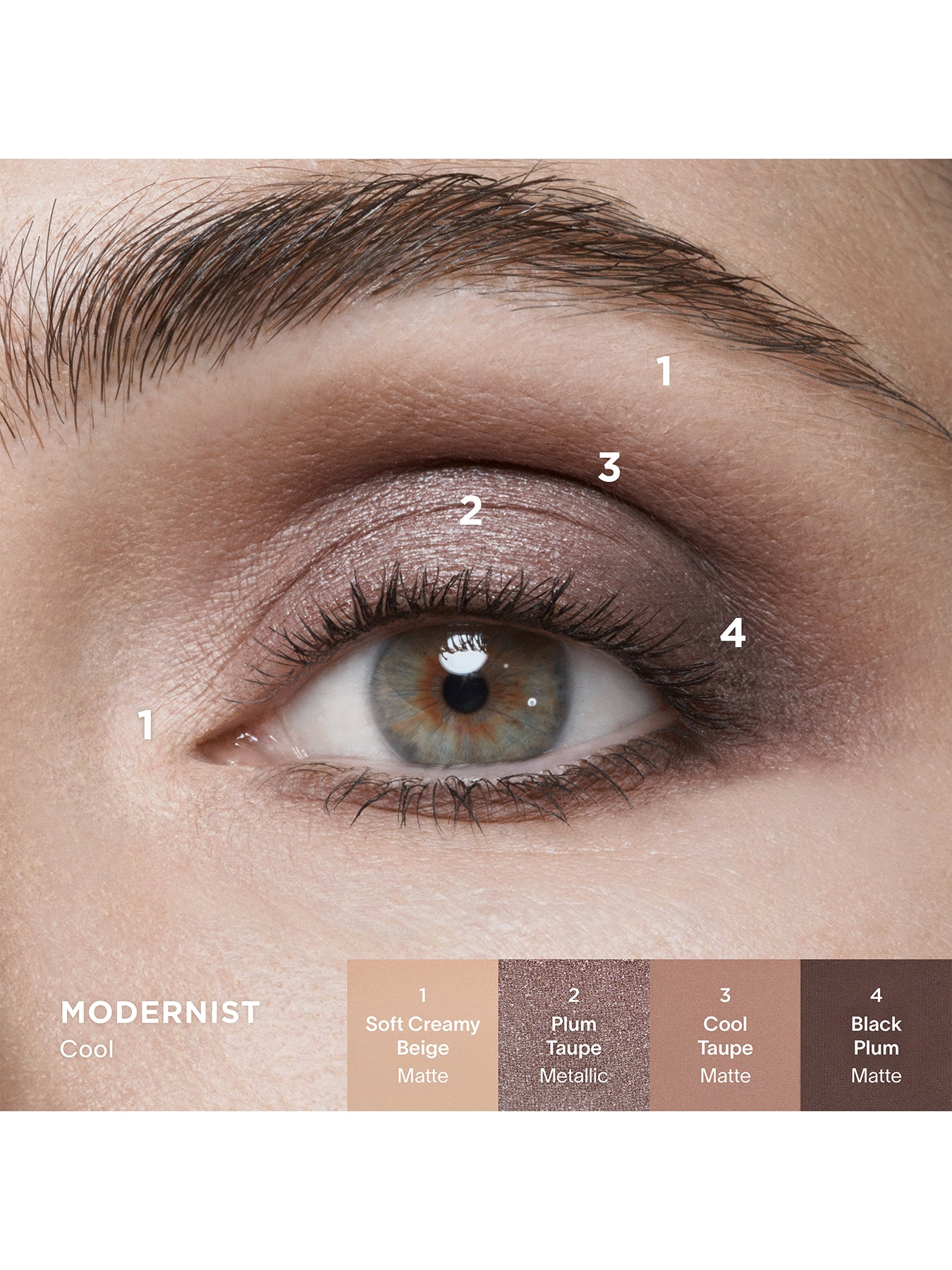 Curator Eyeshadow Palette