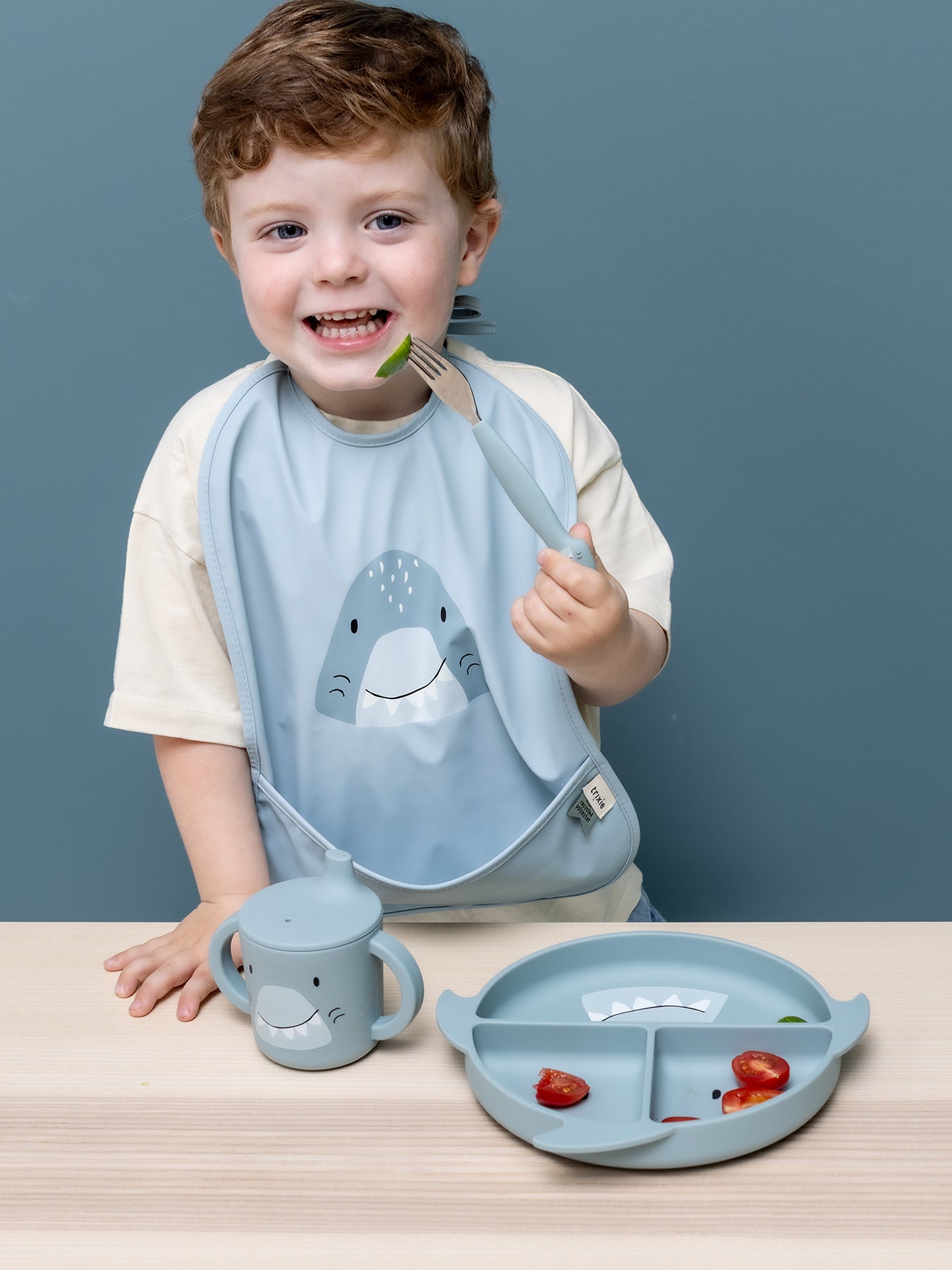 Silicone Divided Suction Plate Shark