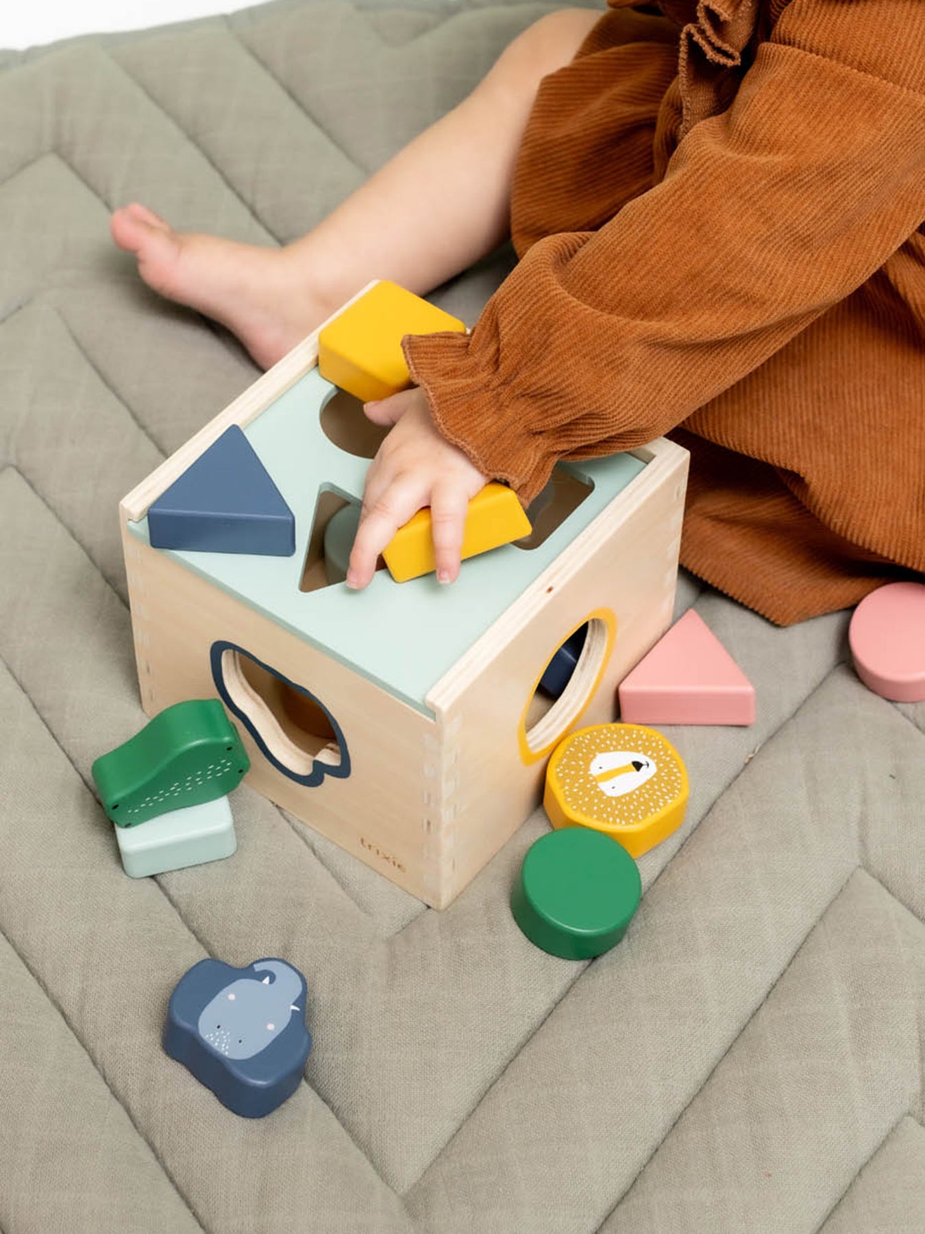 Wooden Shape Sorter Toy