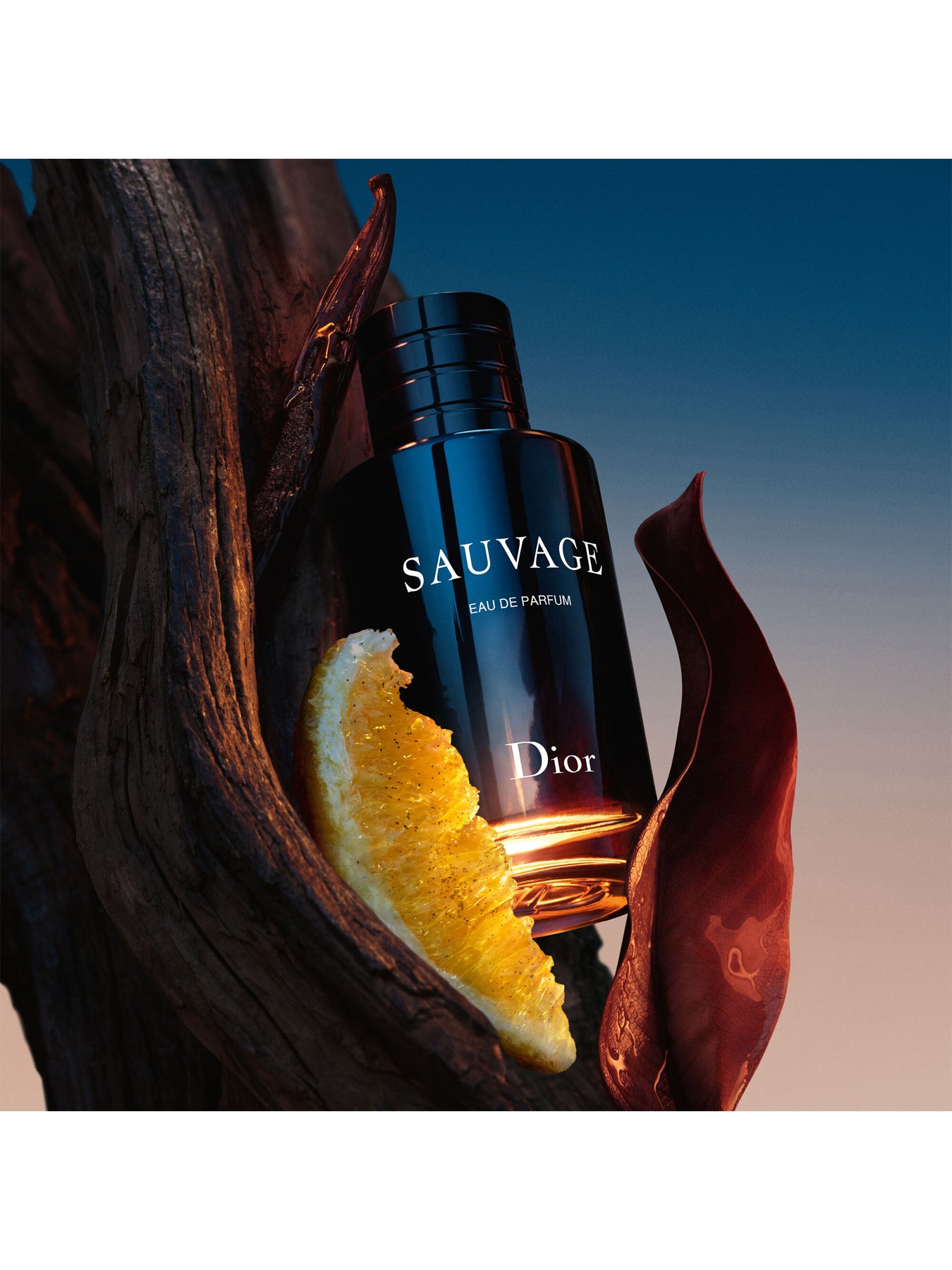 Sauvage Spray for the Wild Eau de Parfum 30ml Limited Edition