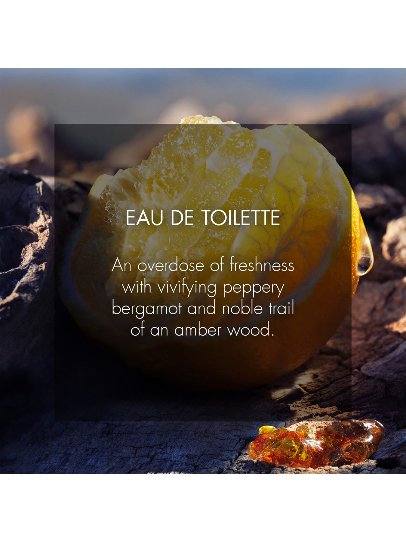 Sauvage Spray for the Wild Eau de Toilette 30ml Limited Edition