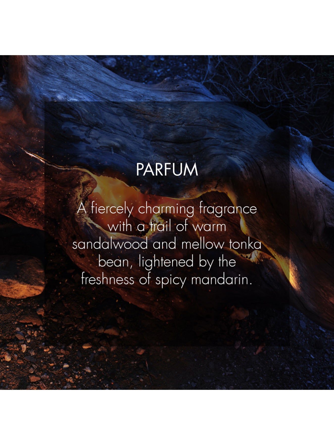 Sauvage Spray for the Wild Parfum 30ml Limited Edition