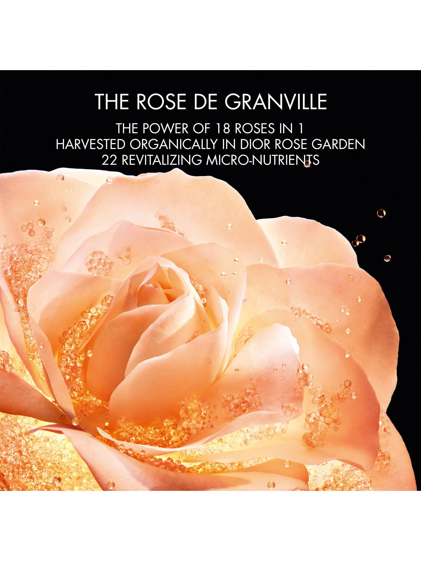 Dior Prestige Le Micro Serum de Rose Yeux Activated Regenerating Eye Serum