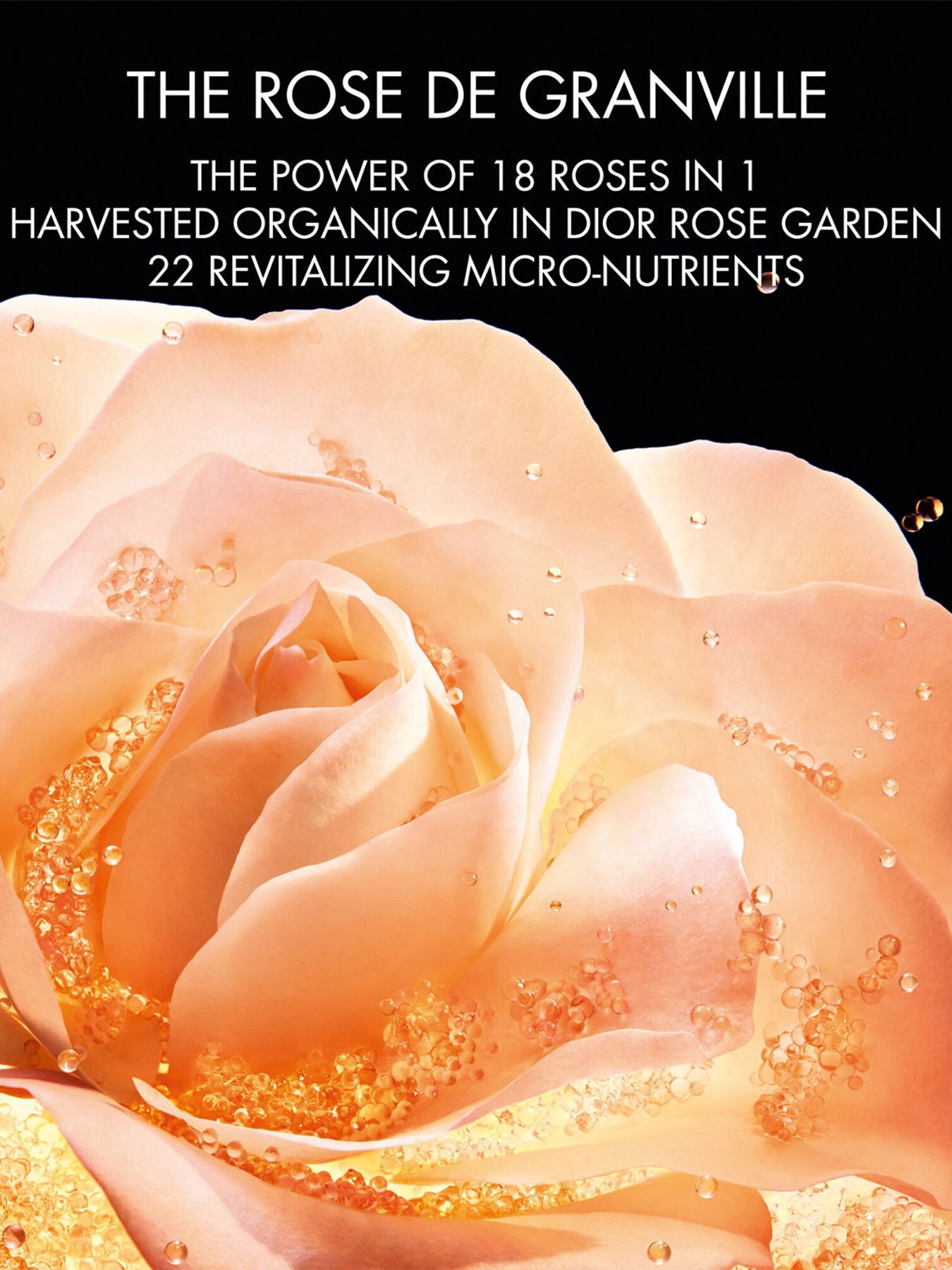 Dior Prestige Le Micro Fluide Teint de Rose Micro Nutritive Foundation