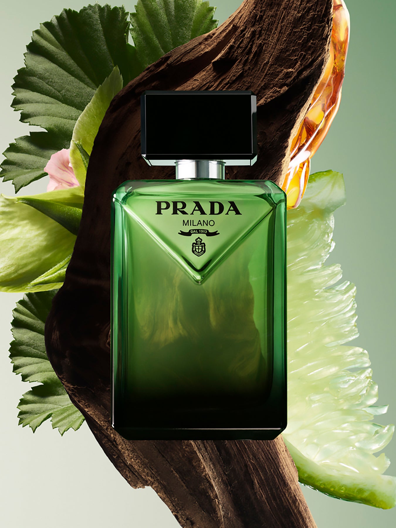 Paradigme Eau de Parfum 50 ml Set