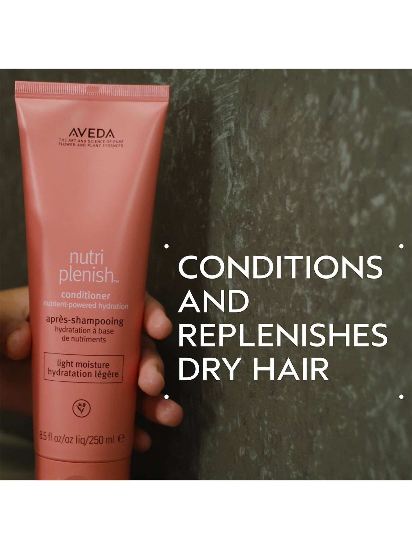 The Moisture Marvels Nutriplenish Hydrating Essentials