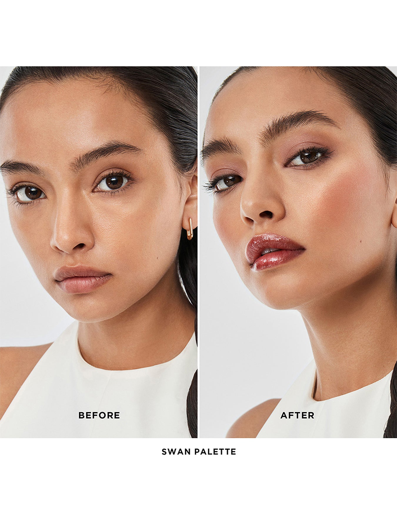 Ambient Lighting Edit Unlocked Swan