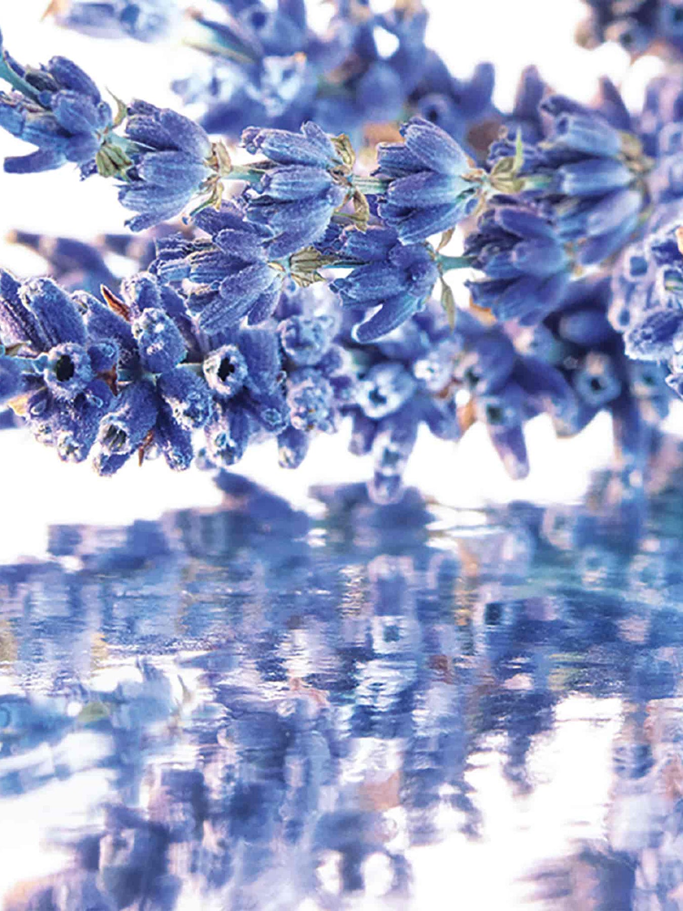 Mon Guerlain Eau de Parfum Gift Set 50ml