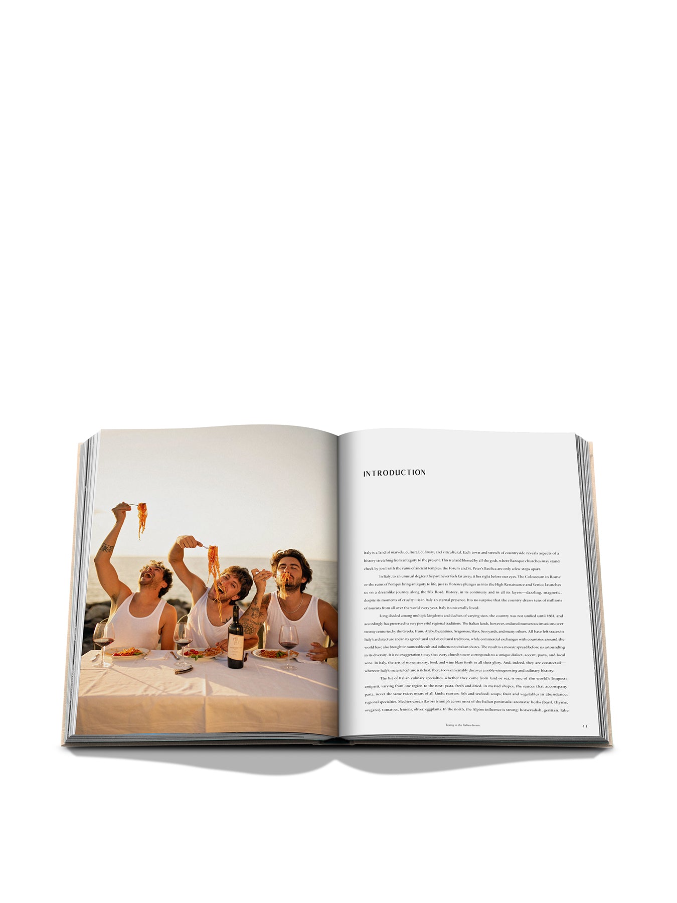 Wine & Travel Italy Book