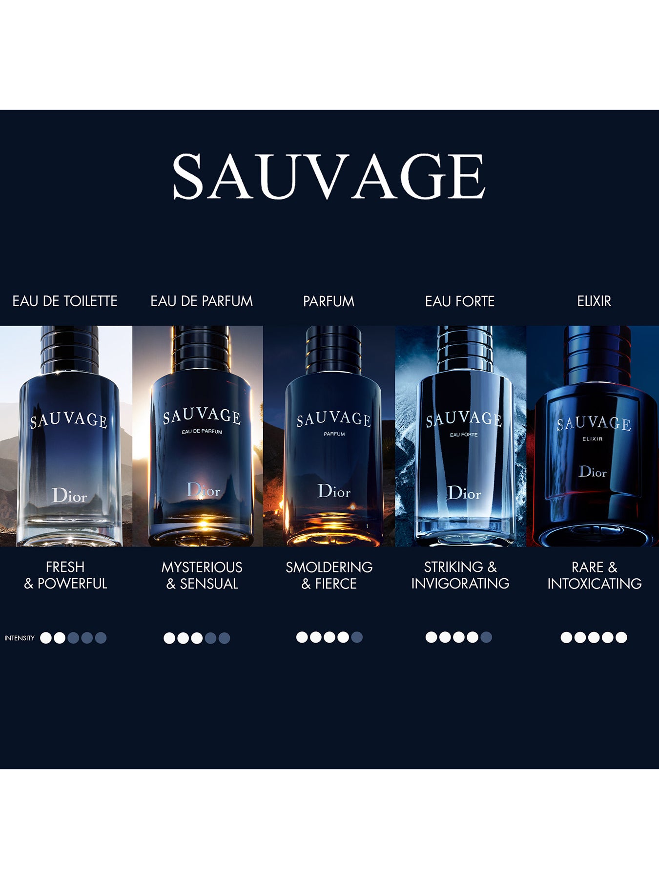 Sauvage Eau de Toilette 100ml Limited Edition Case