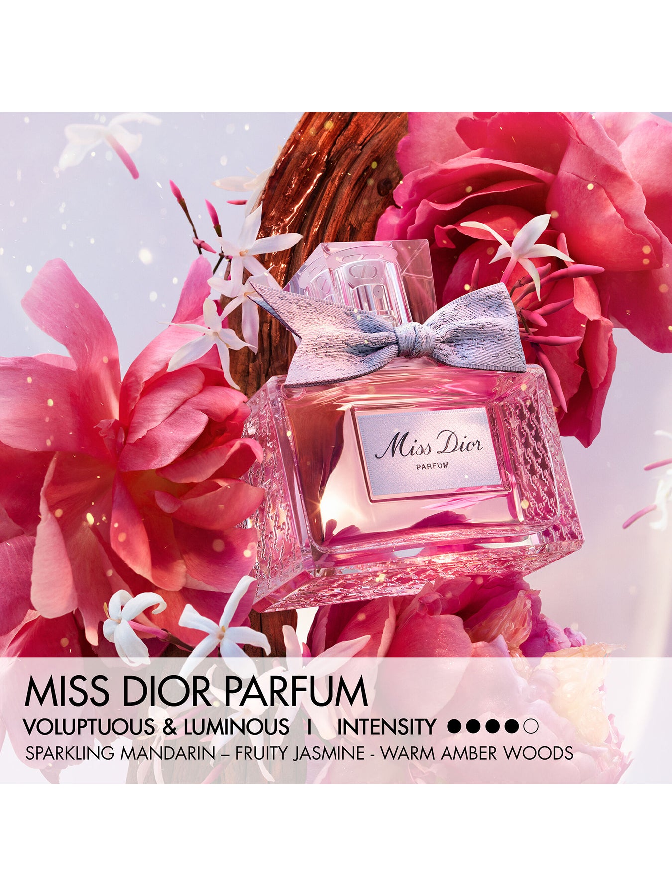 Miss Dior Parfum 80ml Limited Edition Case