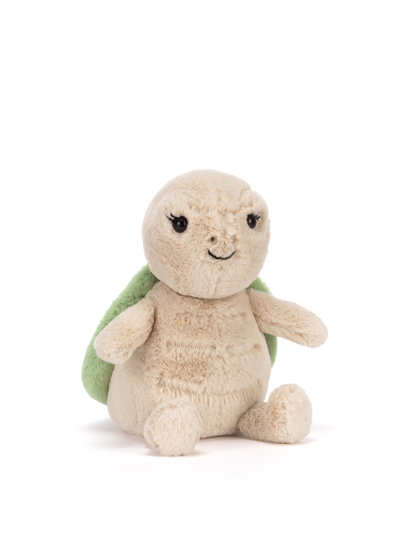Thimble Turtle