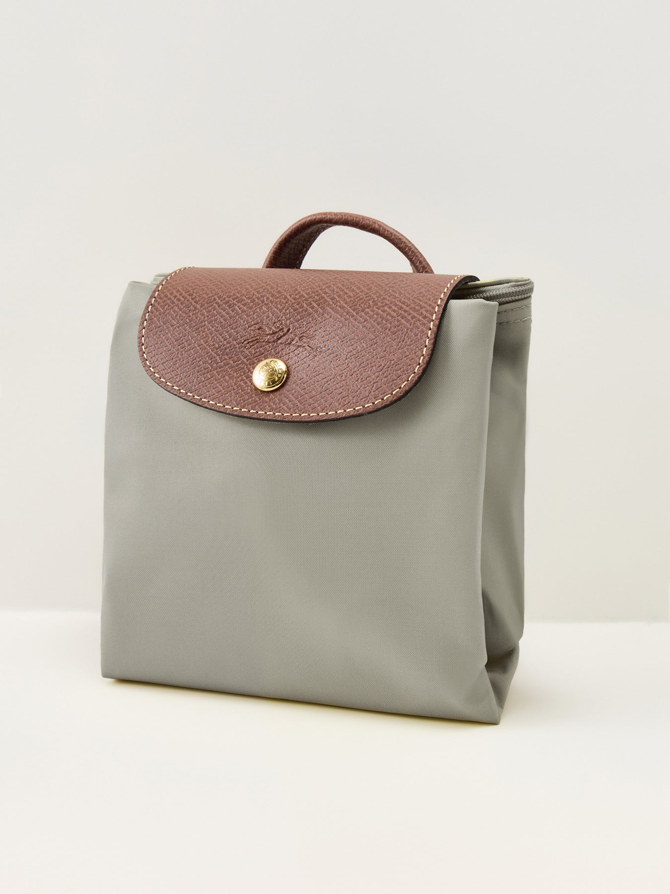 Le Pliage Original Medium Backpack Galet