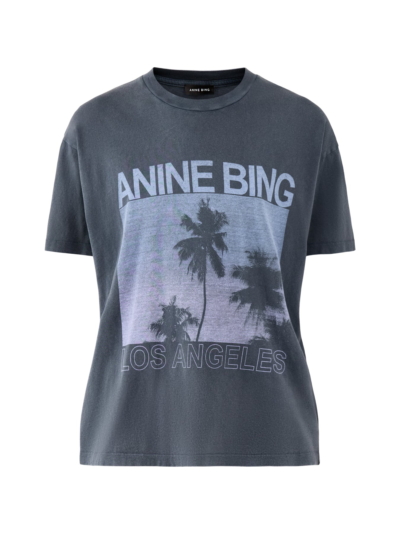 Cade Palms Graphic T-Shirt Black
