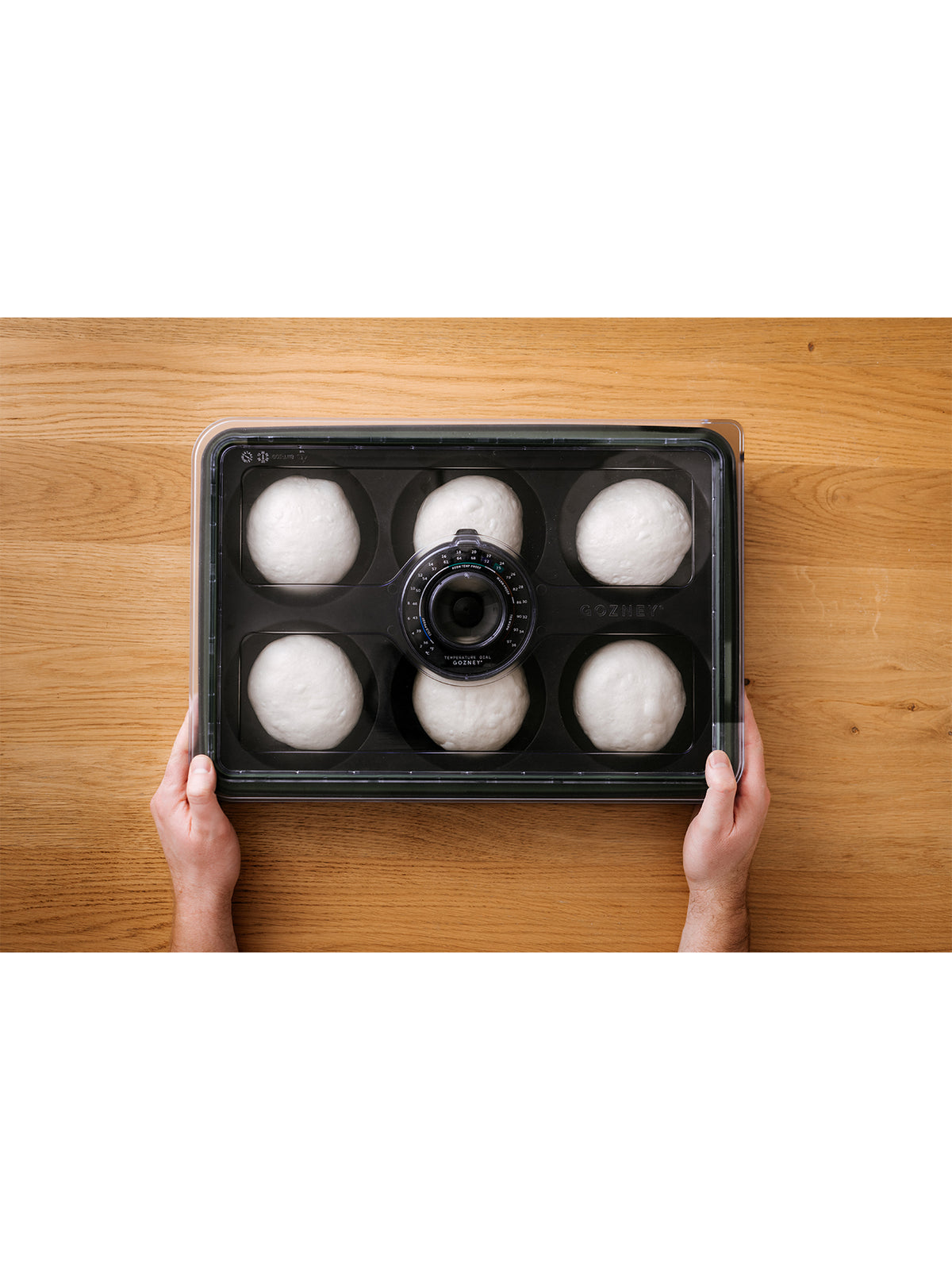 Dough Tray