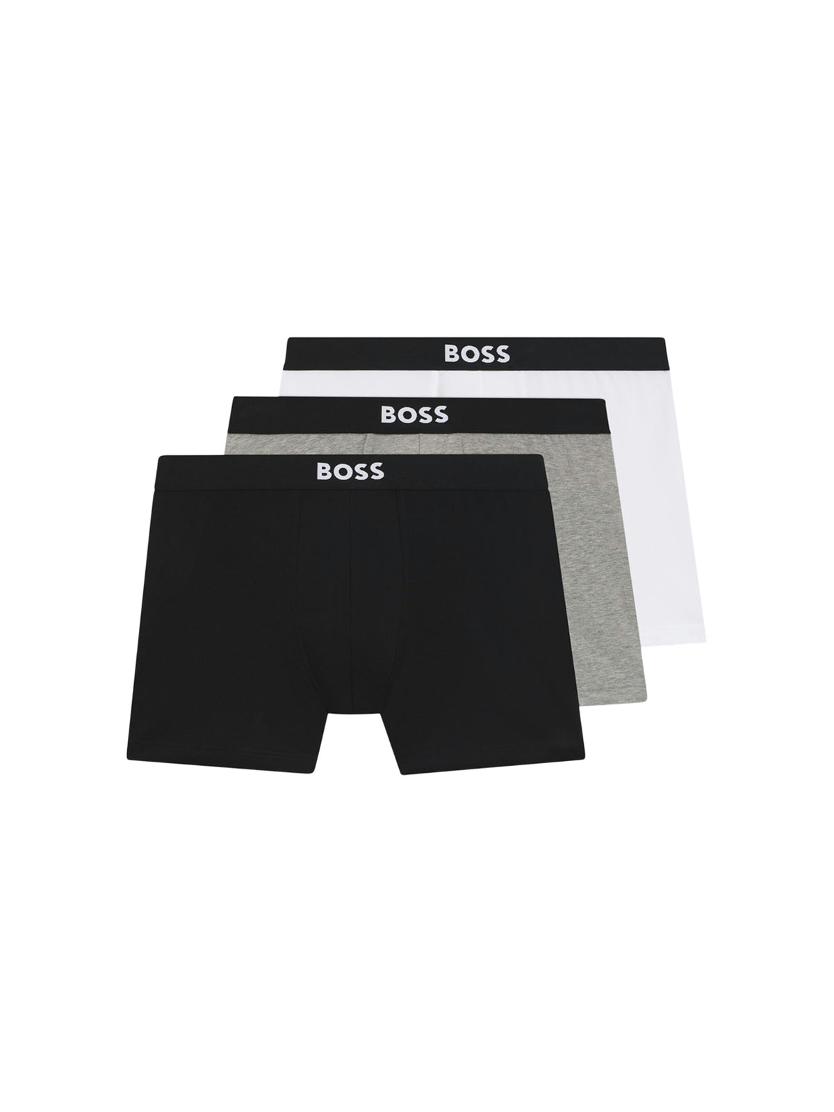 BoxerBr 3P BOSS ONE