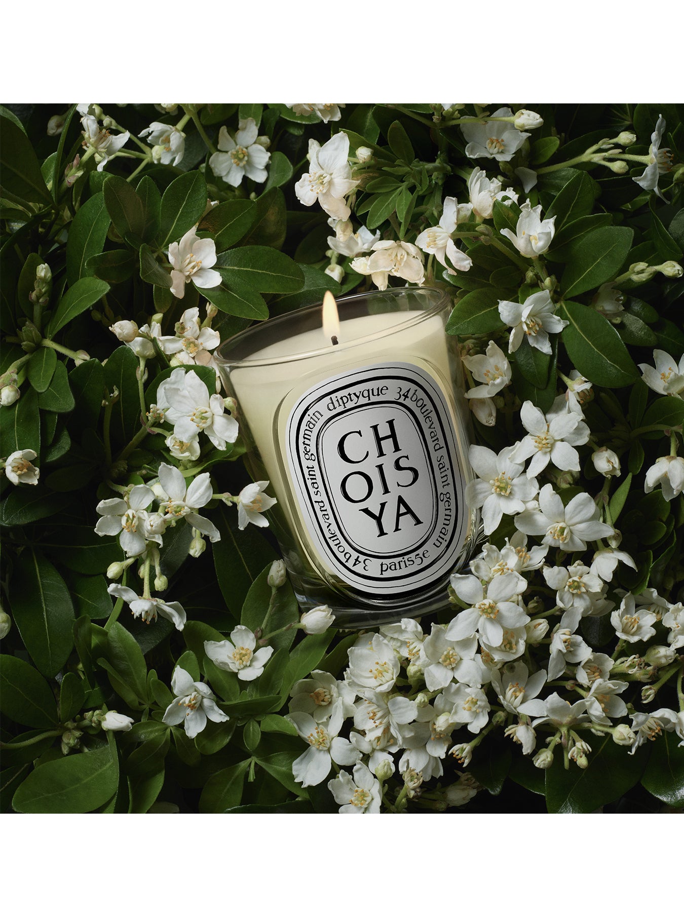 Choisya Classic Candle 190g