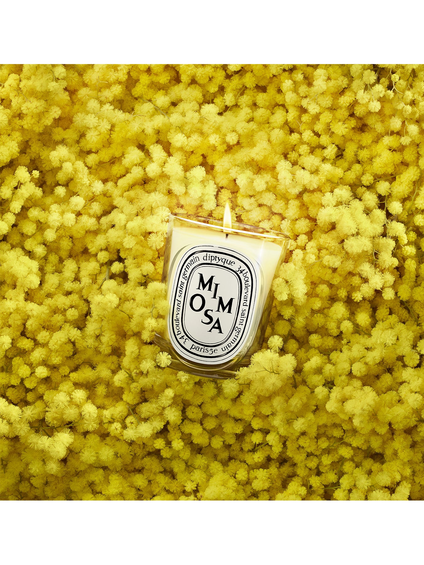 Mimosa Classic Candle 190g