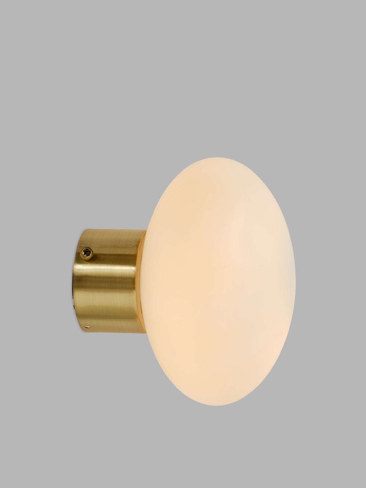 Ellipse LED Wall Light Brass IP44