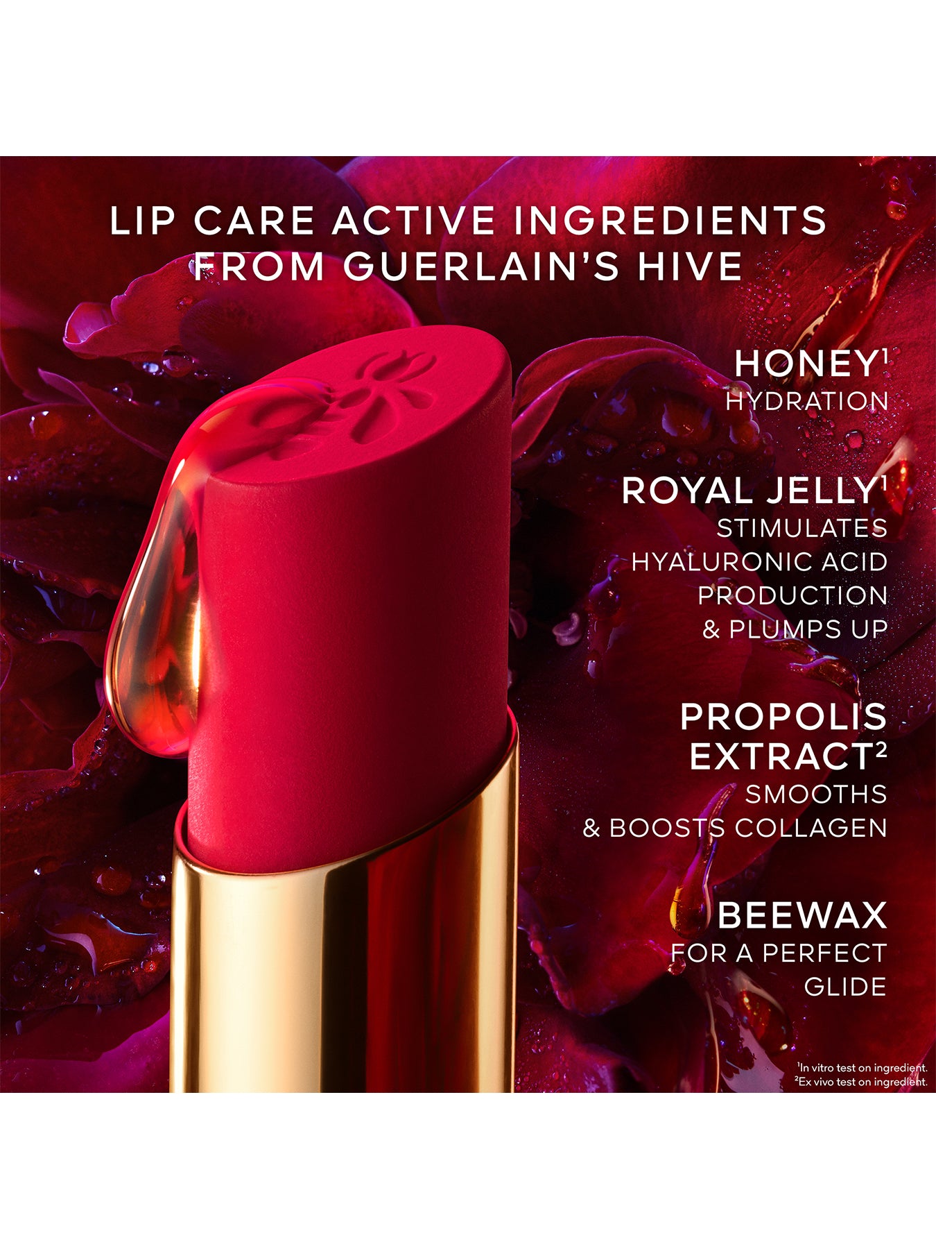 KissKiss Honey Infused Intense Lipstick Refill