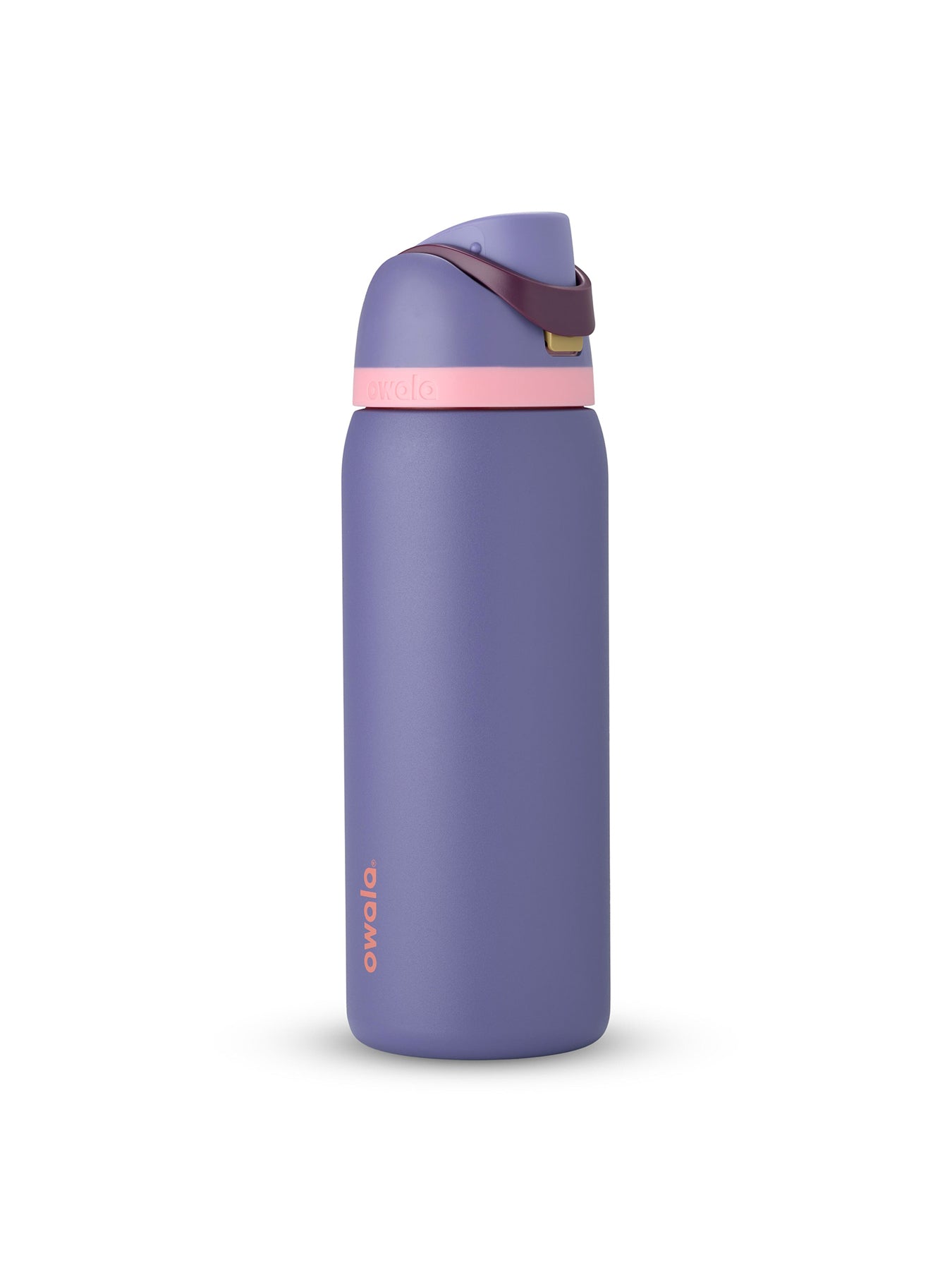 FreeSip Stainless Steel Water Bottle 946ml Blue Jay