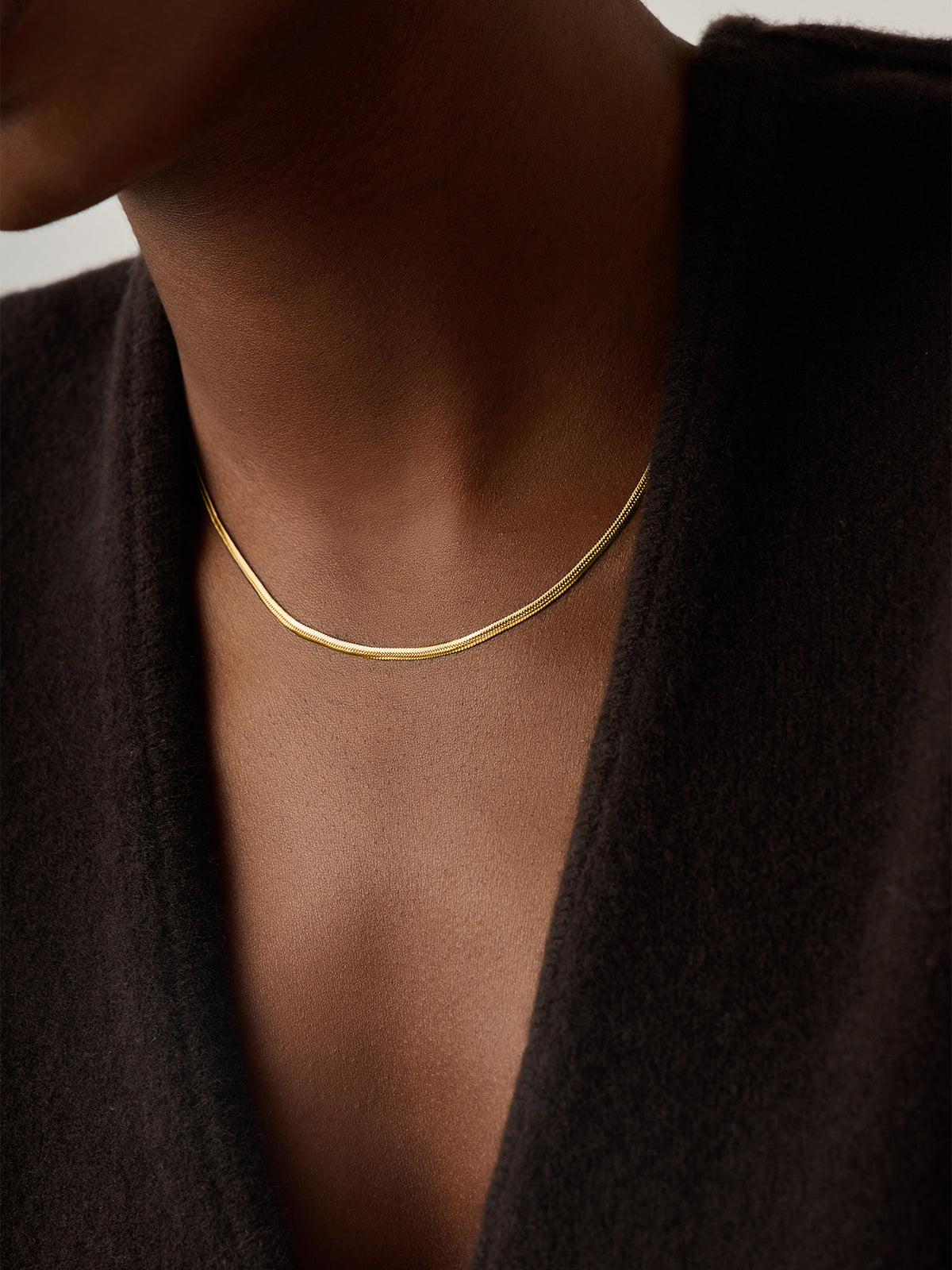 18KT Gold PVD-Plated Classic Snake Chain Necklace