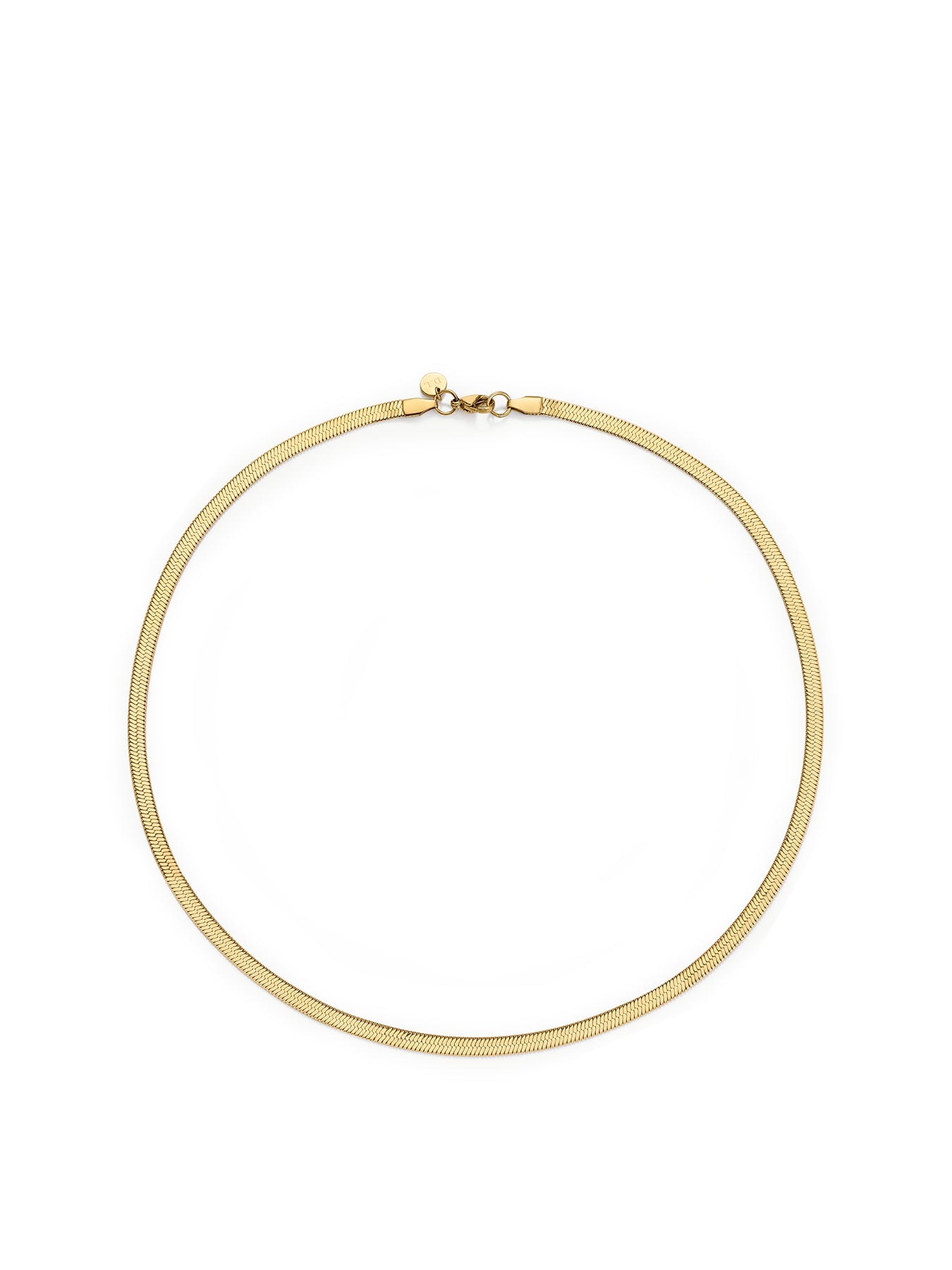 Essentials Snake Chain Necklace