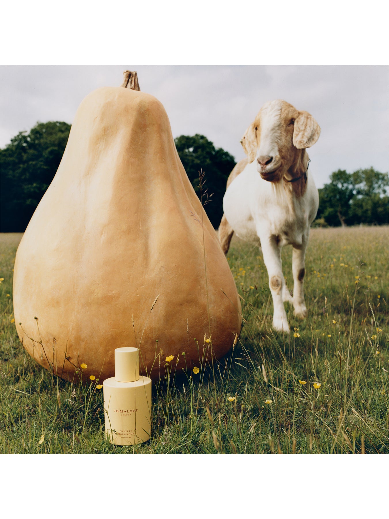 Velvety Butternut Cologne 30ml