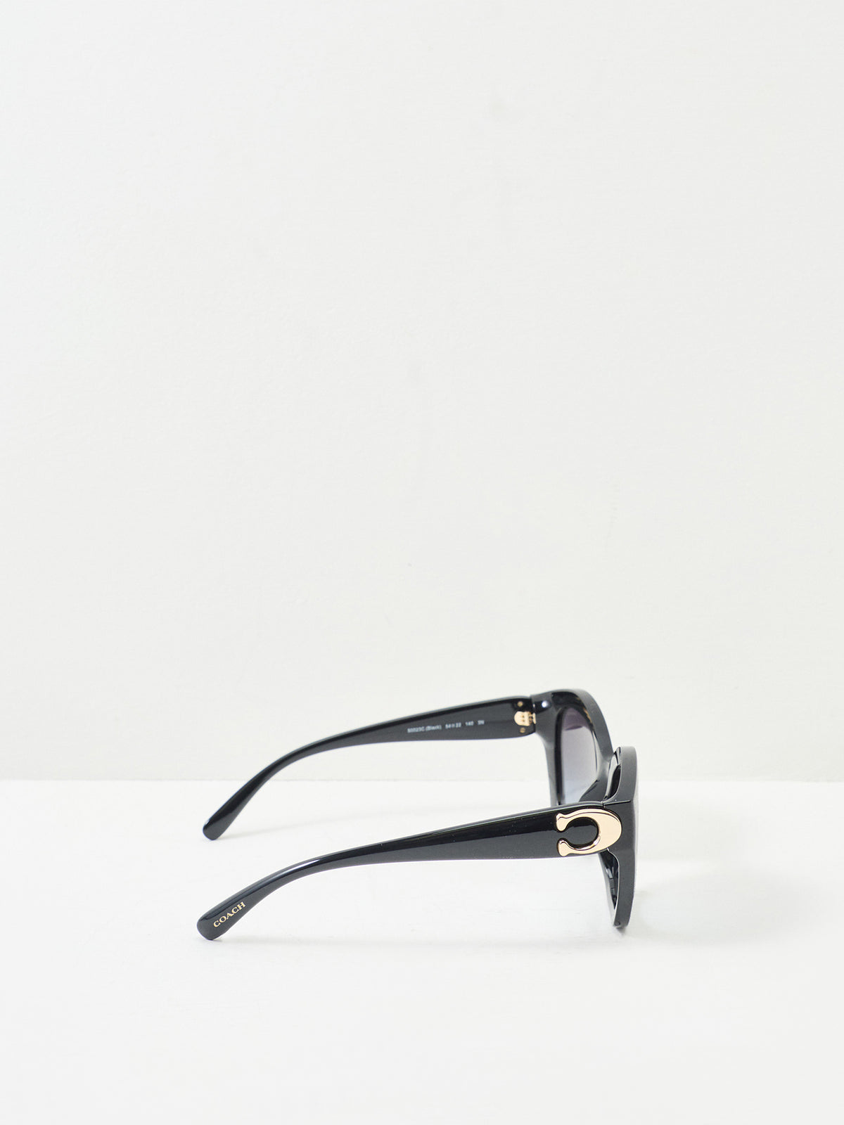 0HC8421U Cat Eye Sunglasses Black