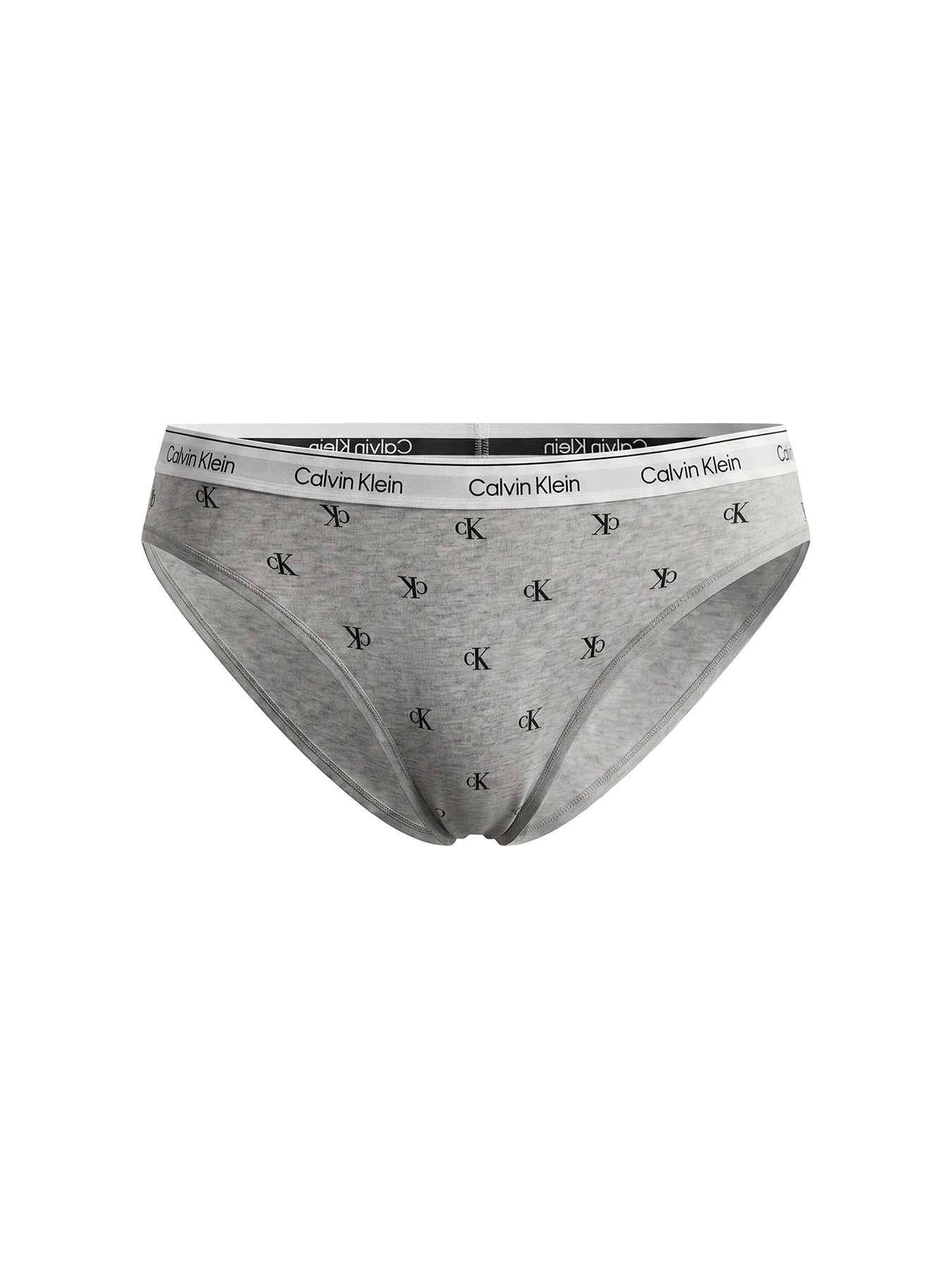 Icon Logo Bikini Briefs Grey