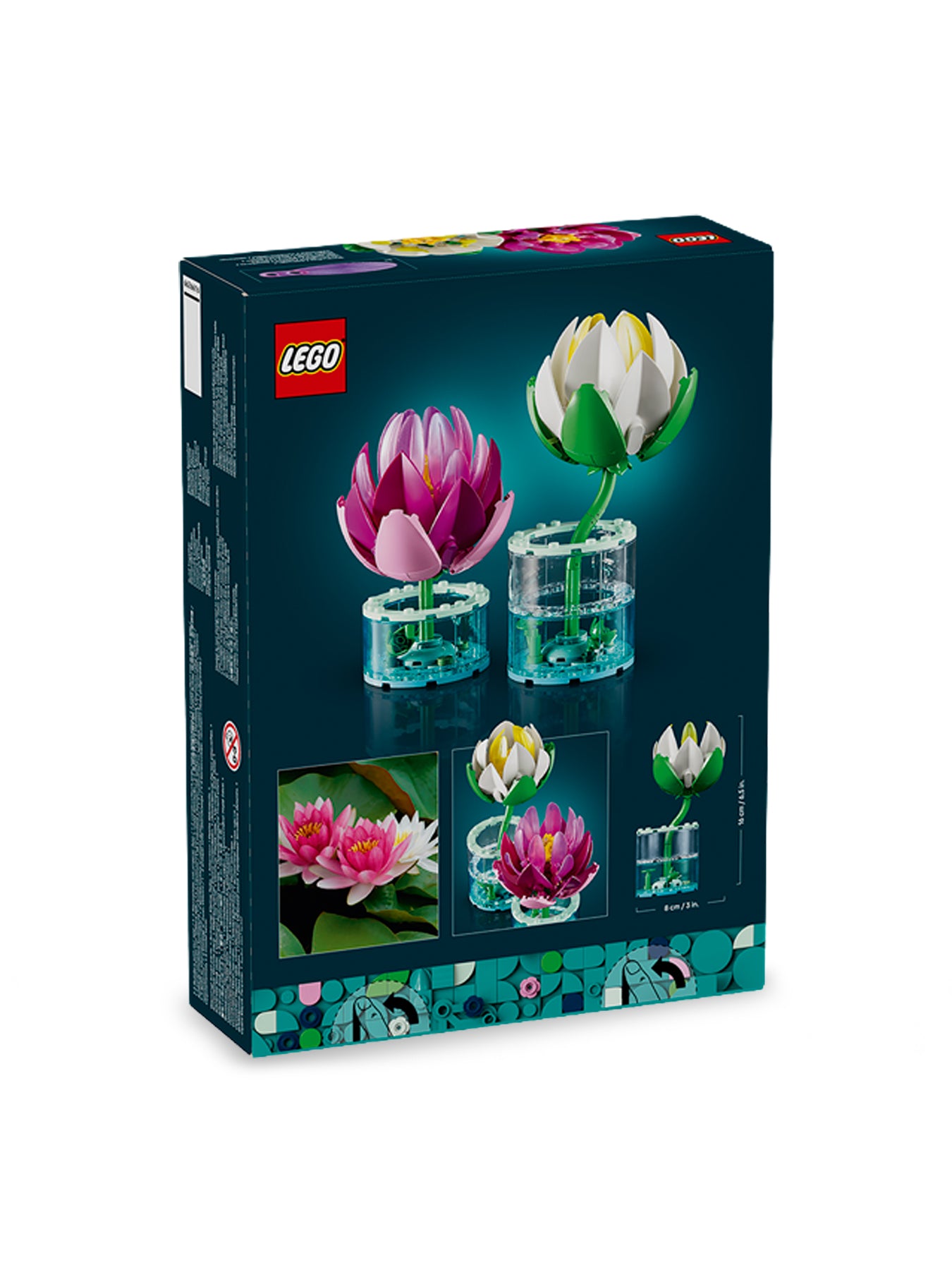 Water Lilies 11511