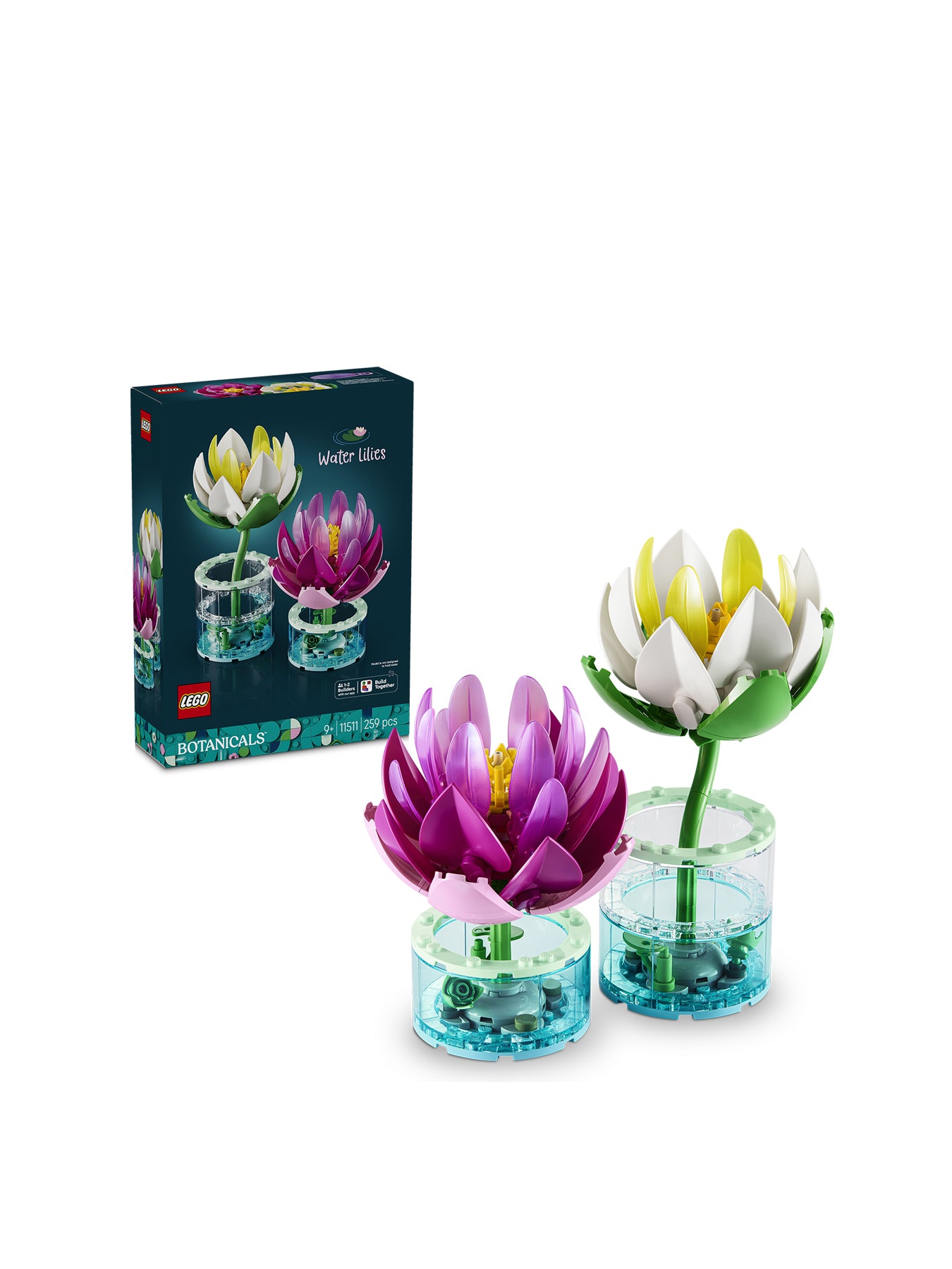 Water Lilies 11511