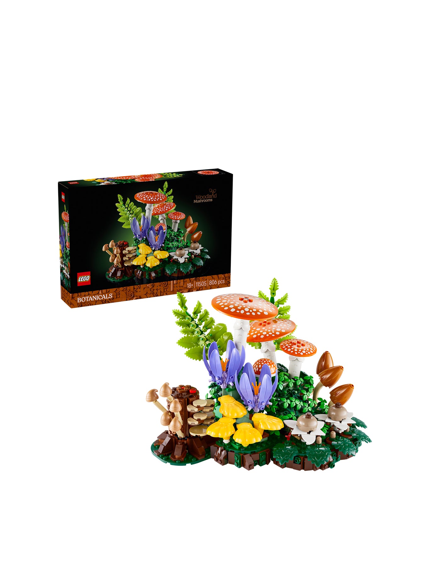 Woodland Mushrooms 11505