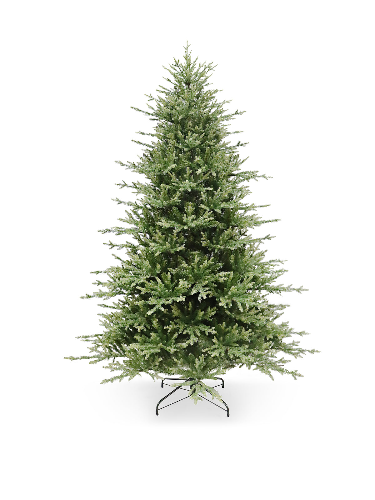 Kielder Pine Narrow Christmas Tree