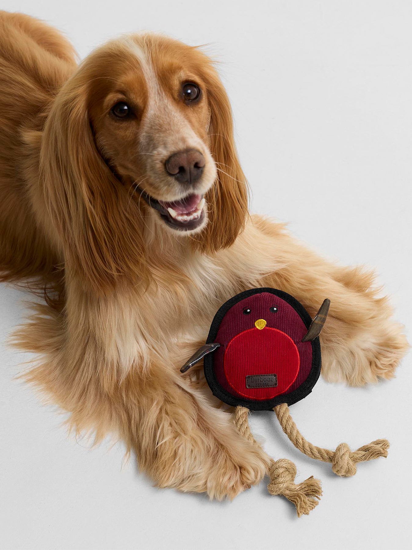 Christmas Robin Dog Toy