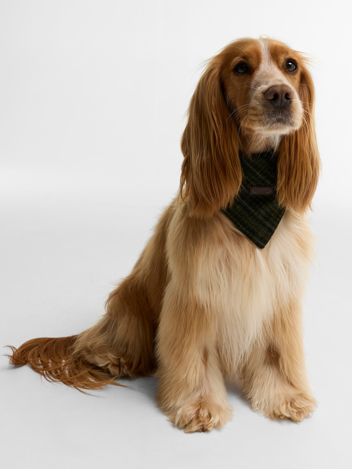 Wilkin Dog Bandana Olive Check