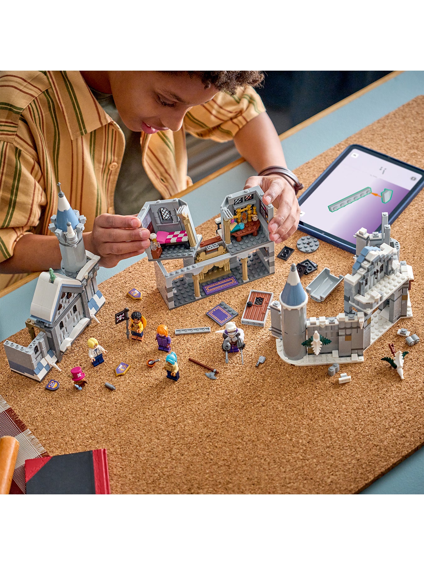 LEGO One Piece 75645