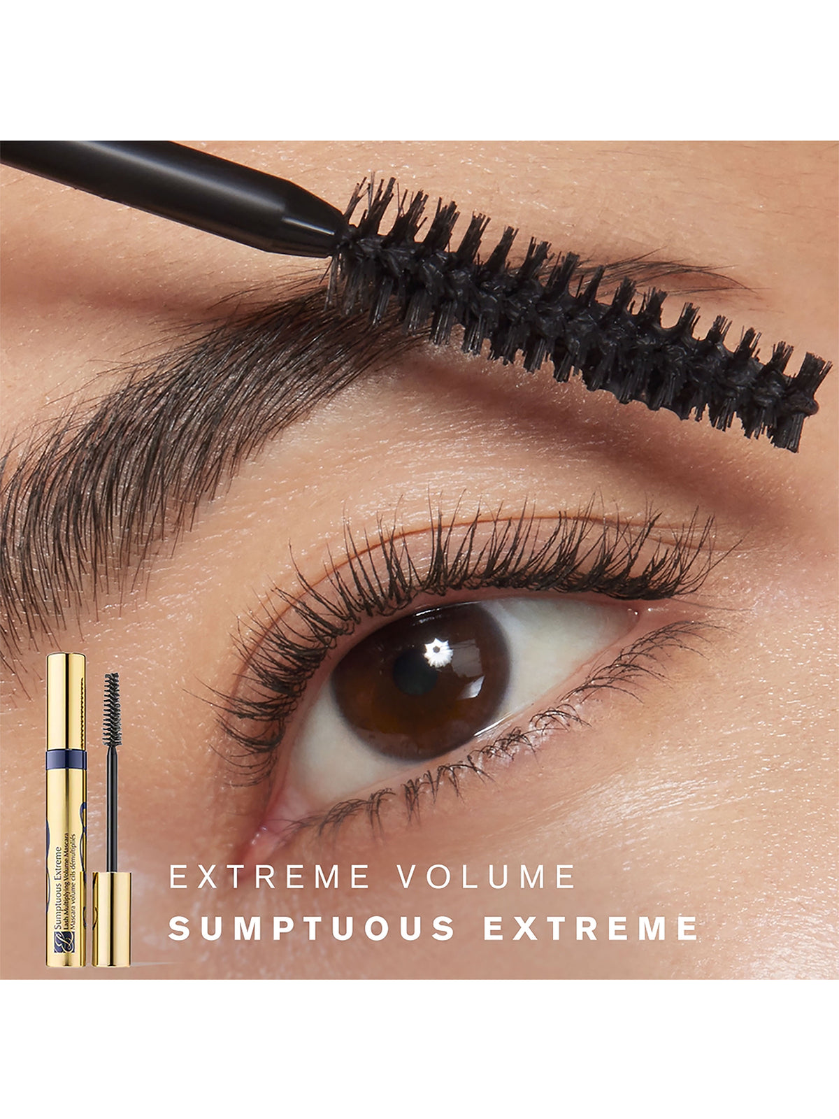 Lash Upgrade Mascara Gift Set