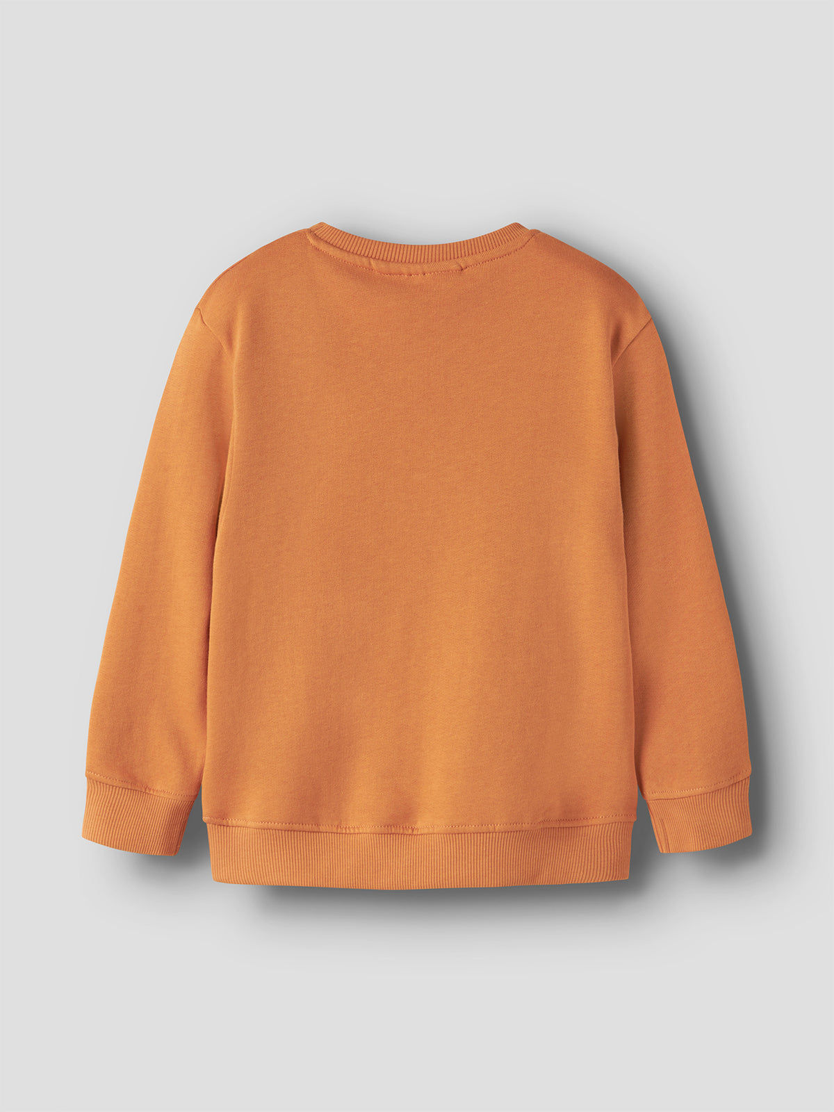 Boys' Ollie Organic Cotton Long-Sleeved Sweatshirt - Tomato Cream