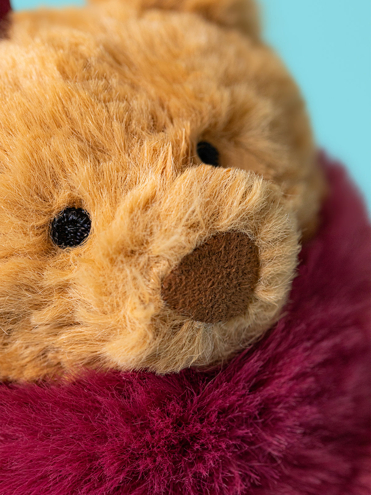 Bartholomew Bear Winter Warmer Decoration