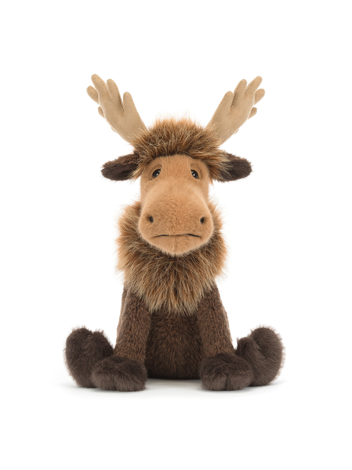 Birchly Moose