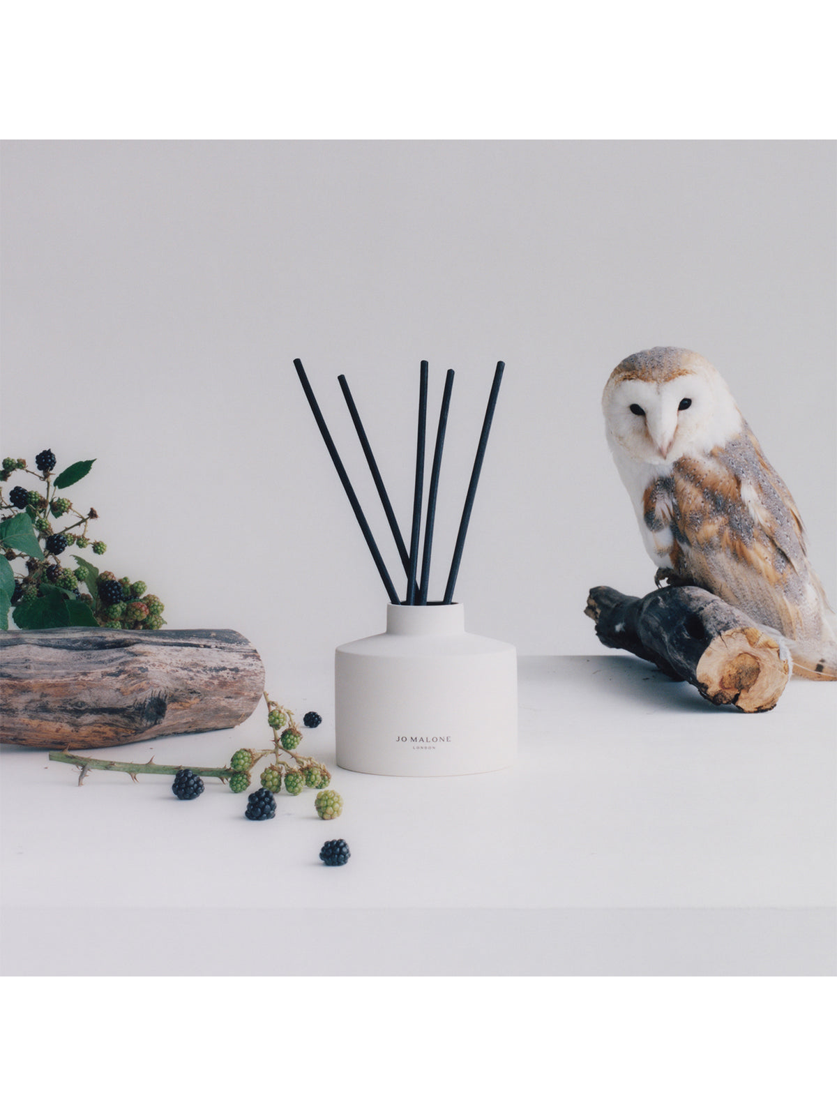 Wild Berry & Bramble A Townhouse Diffuser