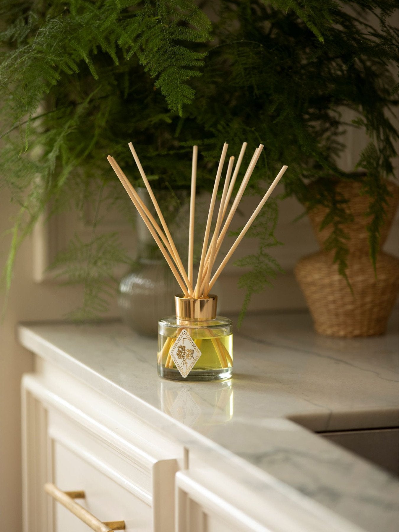 Fig Cedar Reed Diffuser 120ml