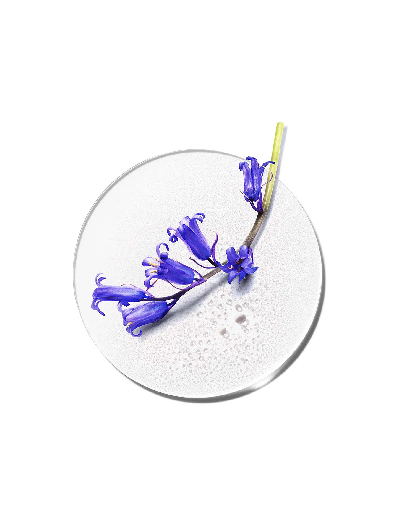 My Happy Indigo Mist